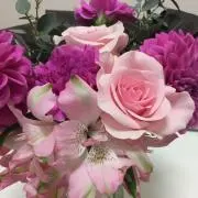 ayの画像