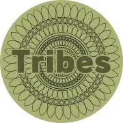 TRIBES即購入ＯＫ迅速発送の画像