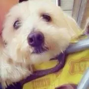 でいじーの画像