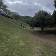 kikiの画像