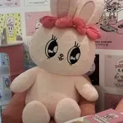 どんの画像