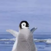 、、の画像