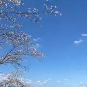 はむかつの画像