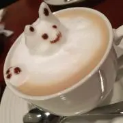 きゃお