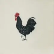 にわとりの画像