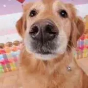 Machikoの画像