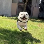 ma.の画像