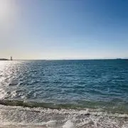りんごの画像