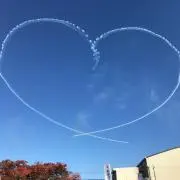 桔梗