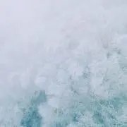 ゆゆ