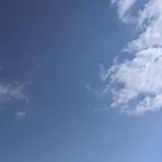 hoomの画像
