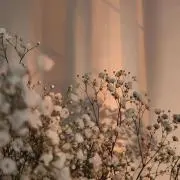 Sの画像