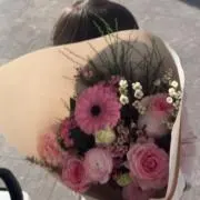 そどんの画像
