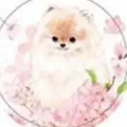 レモネード♪発送まで3日ほどかかりますの画像