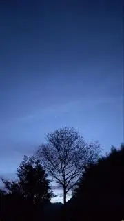 ＊めるはち＊の画像