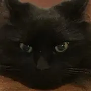 ベティくん