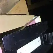 ヤンの画像