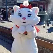 ぽむ丸☺︎