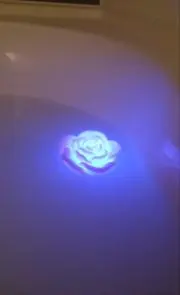 ☆ゆん☆