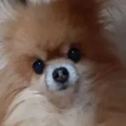ちぇぶり♡プロフ確認お願いします♡