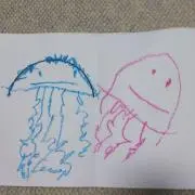 たんたん
