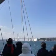 タカ
