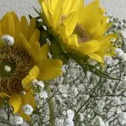 m.【プロフ必読】の画像