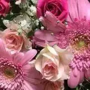 花❁の画像