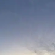 gatpの画像