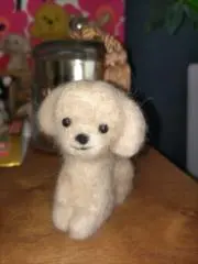 KABOの画像
