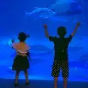 なちゃぴん