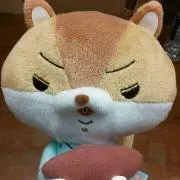 アンジュの画像