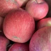 GBの画像