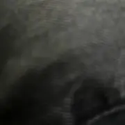 まつげの画像
