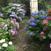 まる