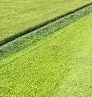 takuanの画像