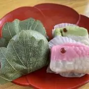 鯉のぼりの画像