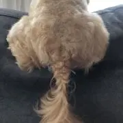 masaGの画像