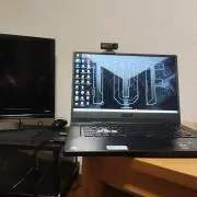 勝つ