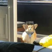 keikuの画像