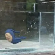ニコニコAIの画像