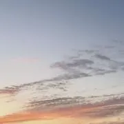 まるしゅの画像