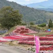 ノーマル
