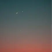 かんざすの画像