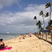 Jの画像