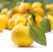 柚木さんの画像