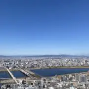 ラテの画像