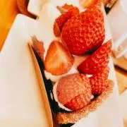 ぱんだの画像