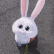 まゆこ