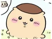 ひよりの画像